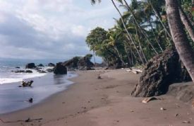Pavones Beach