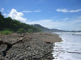 High Tide at Playa Dominical&nbsp;-&nbsp;Dominical, South Puntarenas