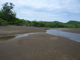 Playa Panama Estuary&nbsp;-&nbsp;Playa Panama, Guanacaste