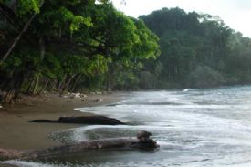 Playa San Josecito, South Drake Bay