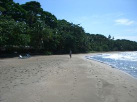 Beautiful Caribbean Beach&nbsp;-&nbsp;Manzanillo, Limon