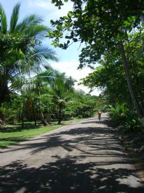 Road to Manzanillo&nbsp;-&nbsp;Manzanillo, Limon