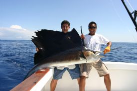 Sailfish in Southern Costa Rica&nbsp;-&nbsp;Golfito, South Puntarenas