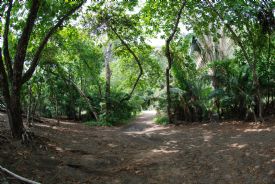 Secluded Beach Entrance&nbsp;-&nbsp;Playa Uvita, South Puntarenas
