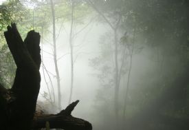 Thermal steam rising at Rincon de la Vieja National Park