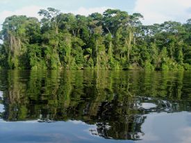 The calm waters of Tortuguero