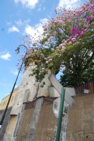 Beautiful flowers on National Museum tower, San Jose