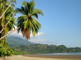 Coconut Palmas at Uvita&nbsp;-&nbsp;Playa Uvita, South Puntarenas