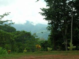 Rainforest behind Uvita&nbsp;-&nbsp;Playa Uvita, South Puntarenas