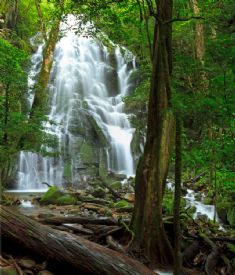 Waterfall inside Rincon de la Vieja National Park