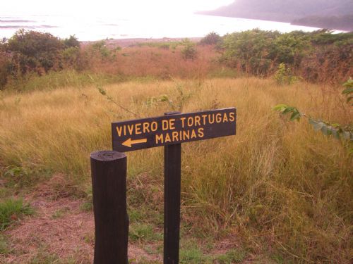 Turtle hatchery sign at Camaronal Wildlife Refuge