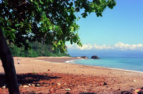 Beautiful Playa Matapalo
