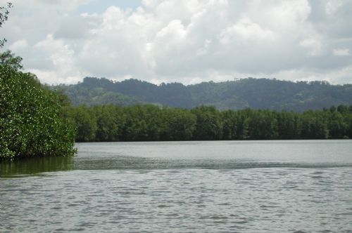 Sierpe River