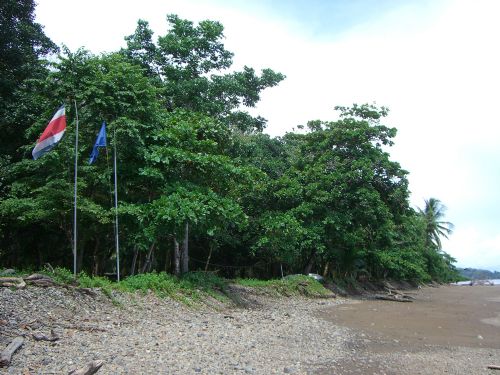 Ballena National Marine Park