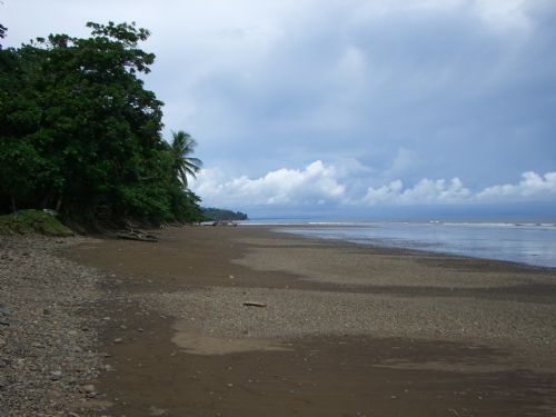 Vast Beach at Ballena Marine National Park