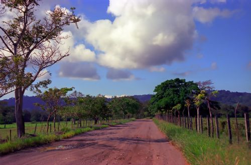 Country Road at Matapalo