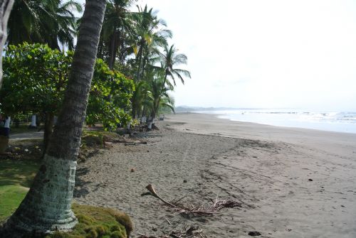 Beautiful beach at Esterillos West