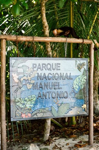 Manuel Antonio National Park and White Faced Monkey