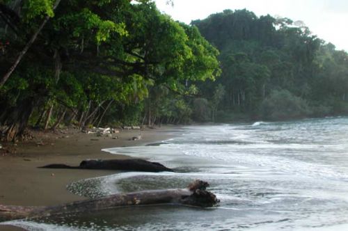 Deserted Playa San Josecito