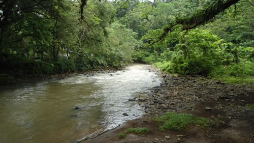 Carara River in Carara National Park