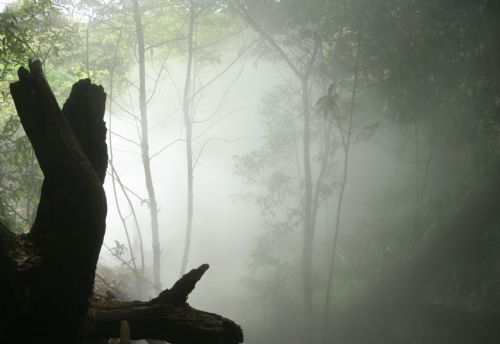 Thermal steam rising at Rincon de la Vieja National Park