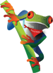 Javi the Frog