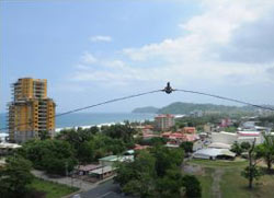 Pacific Bungee
