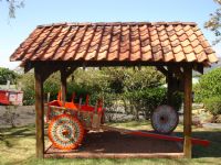 Ox Cart in Alajuela&nbsp;-&nbsp;Alajuela, Alajuela
