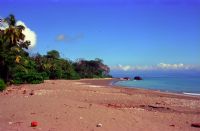 Matapalo Beach&nbsp;-&nbsp;Cabo Matapalo, South Puntarenas