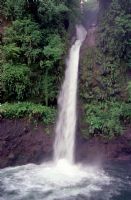 La Paz Waterfall