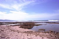 Pavones Surf at Low Tide