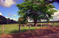 Ranch at Matapalo&nbsp;-&nbsp;Cabo Matapalo, South Puntarenas
