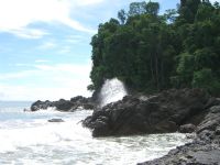 Reef and Forest at Entrance to Ballena National Marine Park&nbsp;-&nbsp;Ballena National Marine Park, South Puntarenas