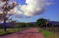 Country Road at Matapalo&nbsp;-&nbsp;Cabo Matapalo, South Puntarenas