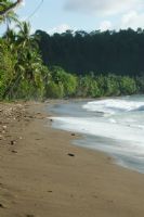 Drake Bay Beach