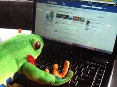 Javi the Frog Updating Facebook
