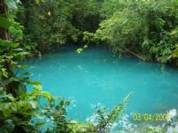 La Laguna Azul - Tenorio Volcano National Park, Alajuela