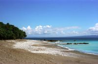 Low Tide at Cabo Matapalo&nbsp;-&nbsp;Cabo Matapalo, South Puntarenas
