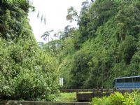 Road through Brauilo Carrillo