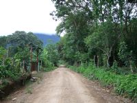 Road to Ballena National Marine Park&nbsp;-&nbsp;Ballena National Marine Park, South Puntarenas