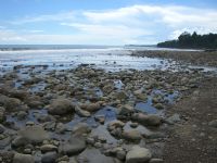 Rocky Reef at Ballena National Marine Park&nbsp;-&nbsp;Ballena National Marine Park, South Puntarenas
