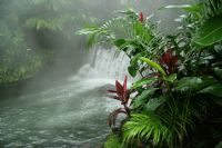 Hot Springs of Costa Rica - Photo Gallery