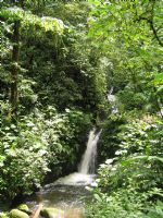 Monteverde Waterfall