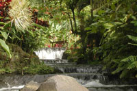 Tobacon Hot Springs, Arenal Volcano