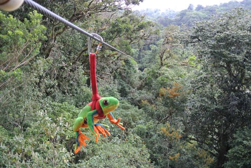 Javi the Frog on a Canopy Tour at Colinas del Poas