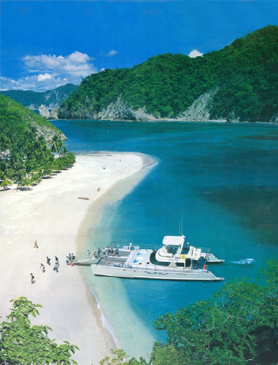 Catamaran Manta Ray of Calypso Tours