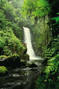 El Templo Waterfall at La Paz Waterfall Gardens