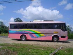 Bus with Arenal Star