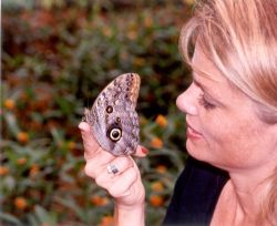 Butterfly Garden at La Paz Waterfall Gardens