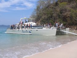 Catamaran Manta Ray of Calypso Tours